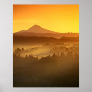 Sunrise-orangen färger dimman i dalen i poster
