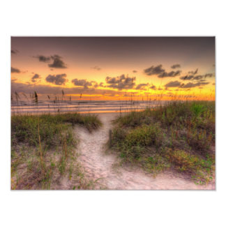 Sunrise over Sand Dunes in Daytona Beach, FL Fototryck