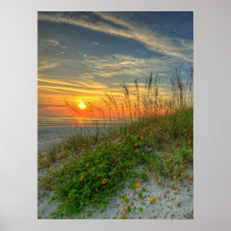 Sunrise over Sand Dunes in Daytona Beach, FL Poster