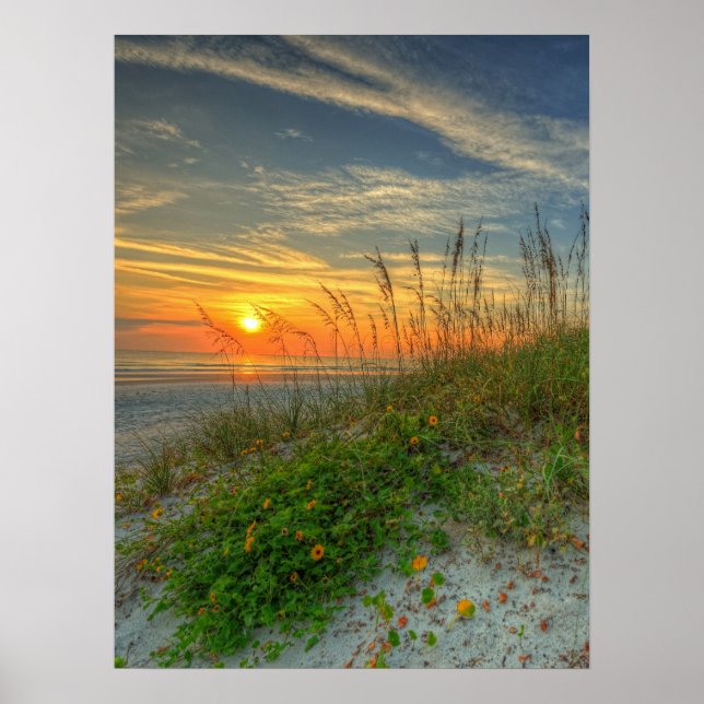Sunrise over Sand Dunes in Daytona Beach, FL Poster (Framsidan)