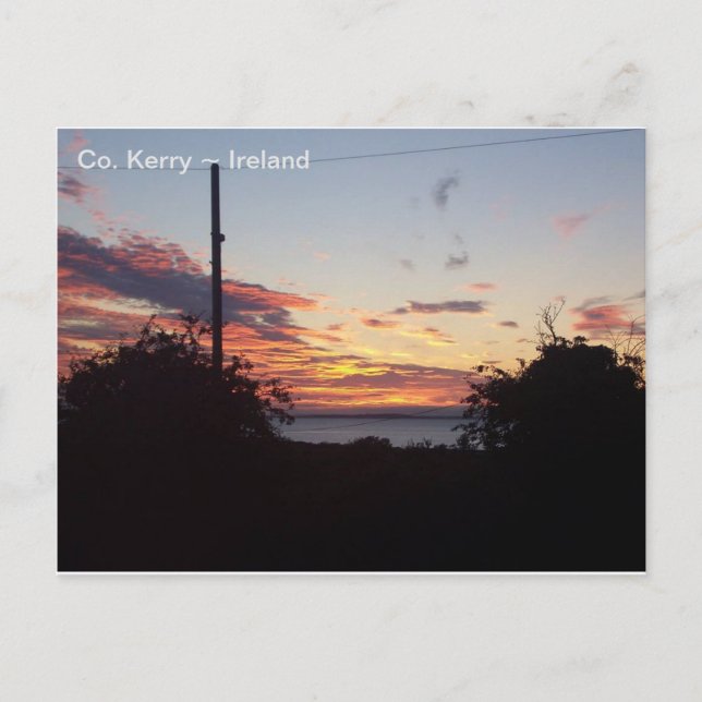 Sunrise over Tralee Bay, Co. Kerry, Irland. Vykort (Framsida)