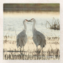 Sunrise Sandhill Crane-par