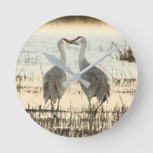 Sunrise Sandhill Crane-par