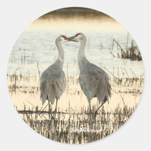 Sunrise Sandhill Crane-par Runt Klistermärke