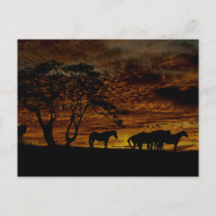 Sunrise Silhouette Vykort