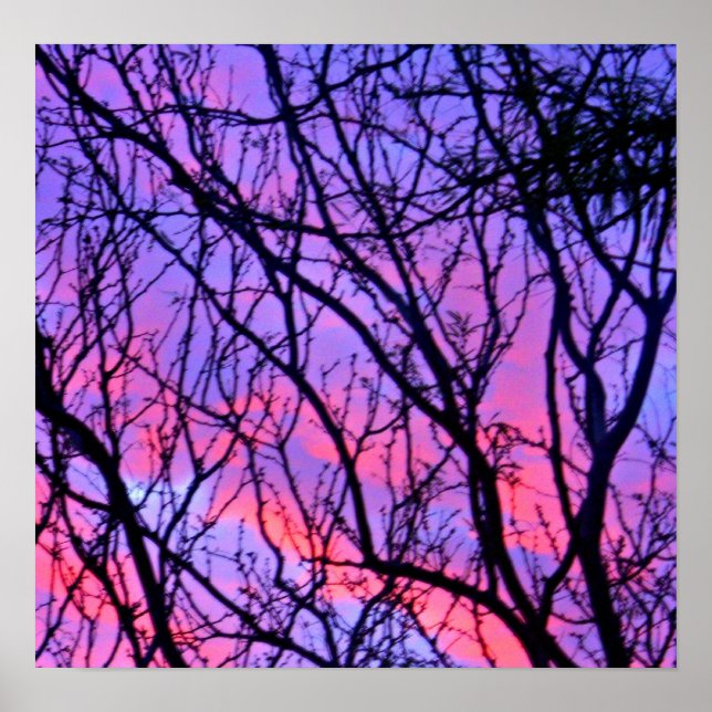 Sunrise Silohuette Poster (Framsidan)