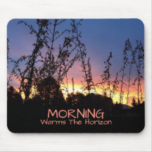 Sunrise Warms the Horizon between Wildblomma