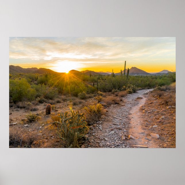 Sunrize over Arizona Trail Poster (Framsidan)