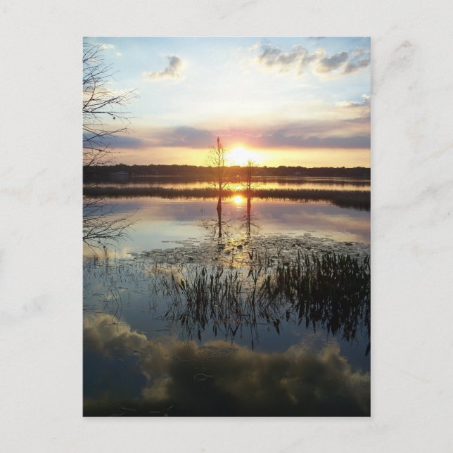 Sunset 172 Florida Post Card Vykort (Framsida)