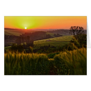 Sunset Agriculture Wheat Hälsningskort