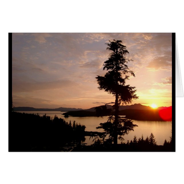 Sunset and Cedar träd Hälsningskort (Framsidan Horizontal)