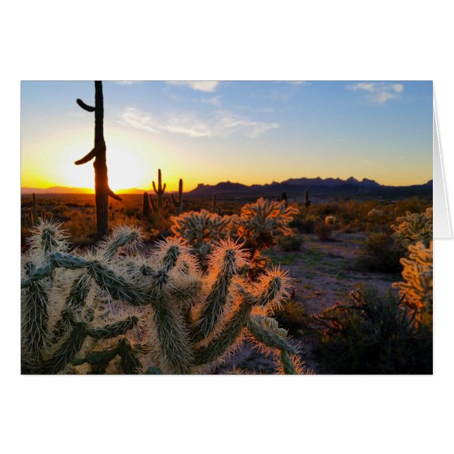Sunset Arizona Sonoran Desert with Saguaro Cactus Hälsningskort (Framsidan Horizontal)