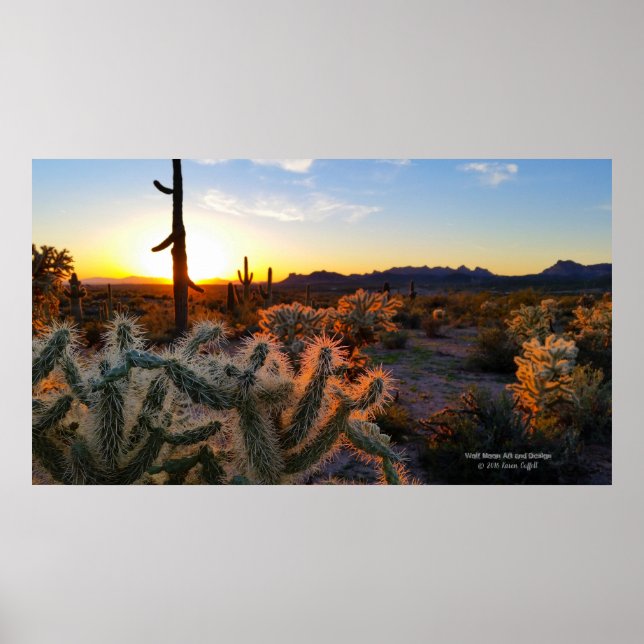 Sunset Arizona Sonoran Desert with saguaro cactus Poster (Framsidan)