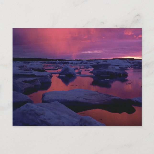 Sunset at Hudson Bay, Kanada Vykort (Framsida)