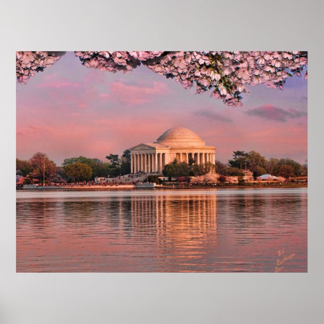 Sunset at Jeferson Memorial with Cherry Blossoms Poster (Framsidan)
