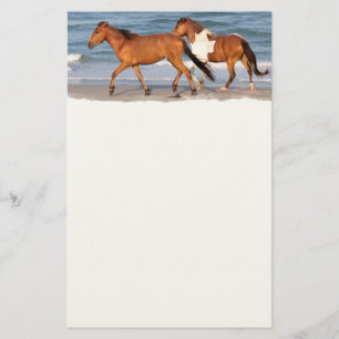 Sunset Beach Hors Brevpapper