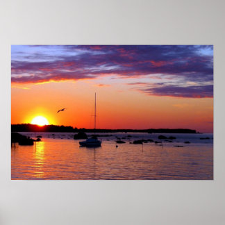 Sunset Beauty Poster