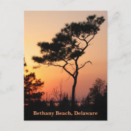 Sunset Bethany-vykort Vykort