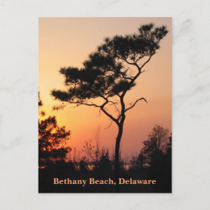 Sunset Bethany-vykort Vykort