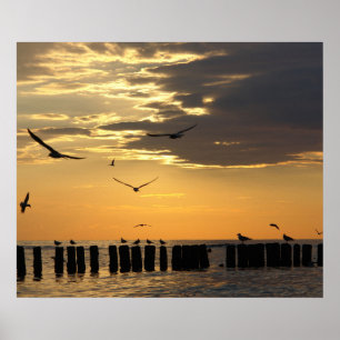 Sunset Birds Florida Print Poster