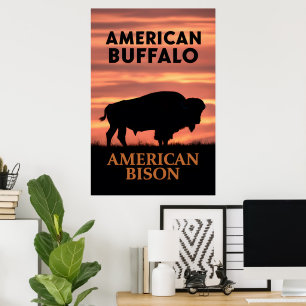 Sunset Bison Silhouette Poster
