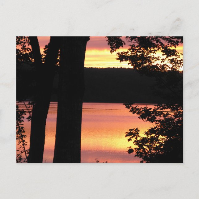 Sunset Bridgewater Nova Scotia PO Card Vykort (Framsida)