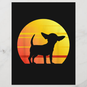 Sunset Chihuahua Brevhuvud