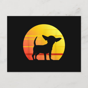 Sunset Chihuahua Vykort
