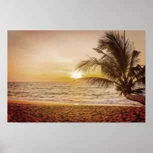 Sunset Coconut Handflatan på stranden Poster
