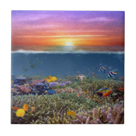 Sunset Coral Reef Kakelplatta