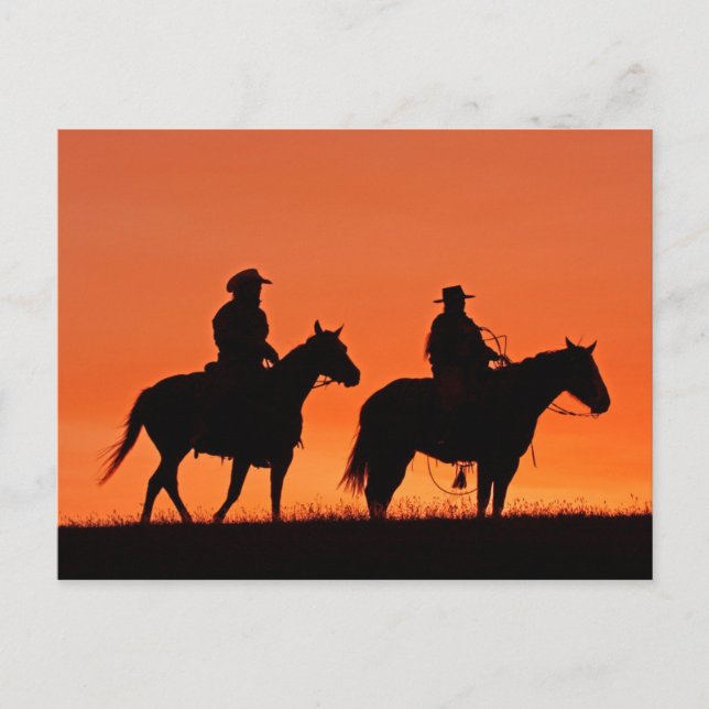 Sunset Cowboy Ride Design Vykort (Framsida)