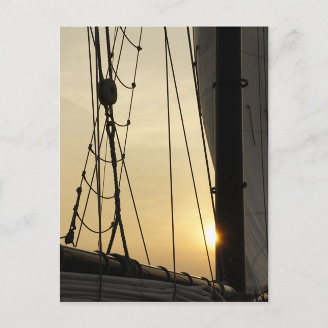Sunset Cruise Vykort (Framsida)