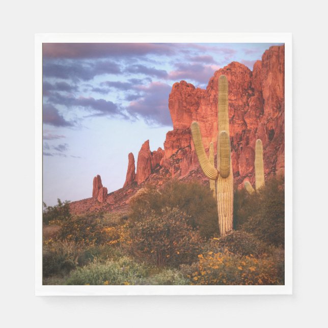 Sunset Desert Arizona State Pappersservett (Framsidan)