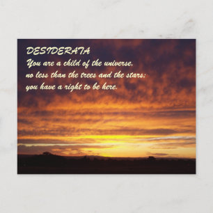 Sunset DESIDERATA Vykort