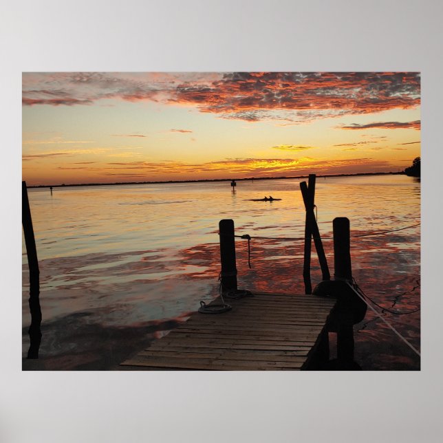 Sunset Dolphins Poster (Framsidan)