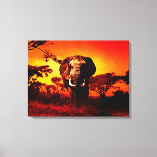 Sunset Elephant Canvastryck