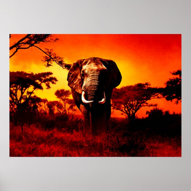 Sunset Elephant Poster (Framsidan)
