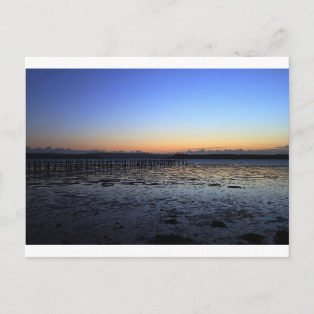 Sunset Evening Backe Vykort (Framsida)