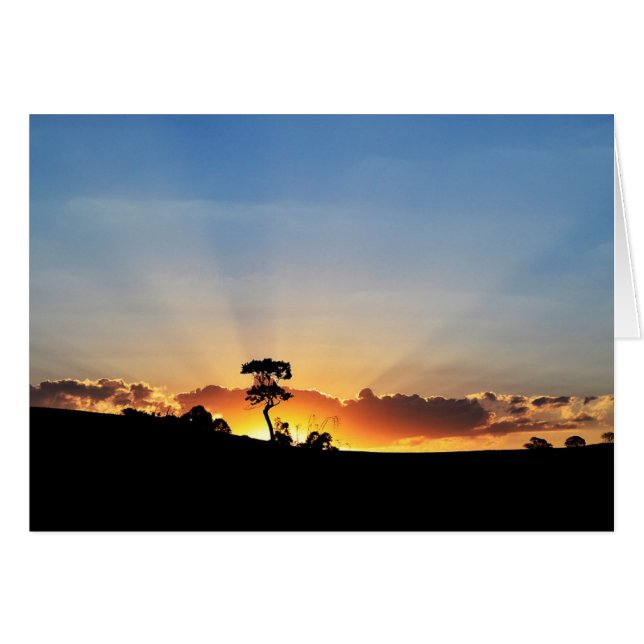 Sunset Farm Londrina Hälsningskort (Framsidan Horizontal)