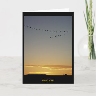 Sunset Geese Kort