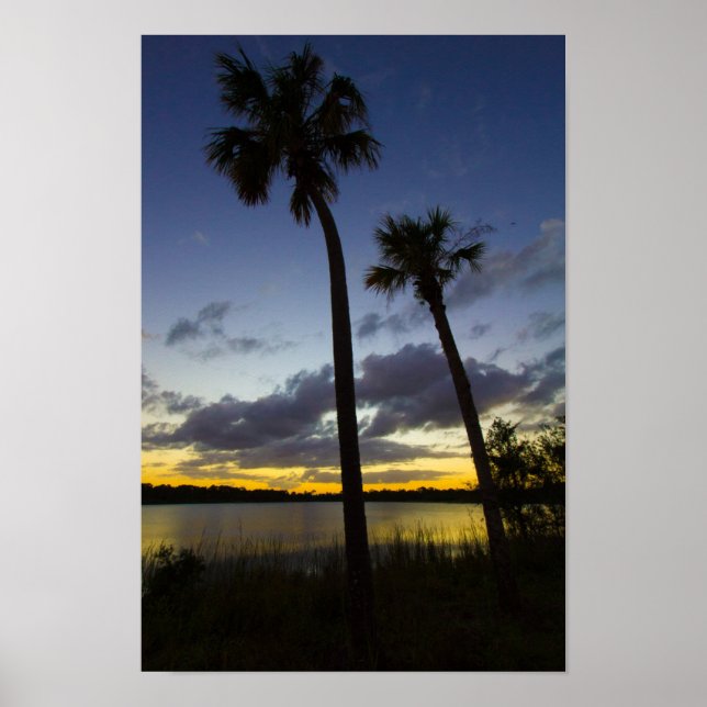 Sunset, George Leodd Preserve, Fort Pierce, FL Poster (Framsidan)