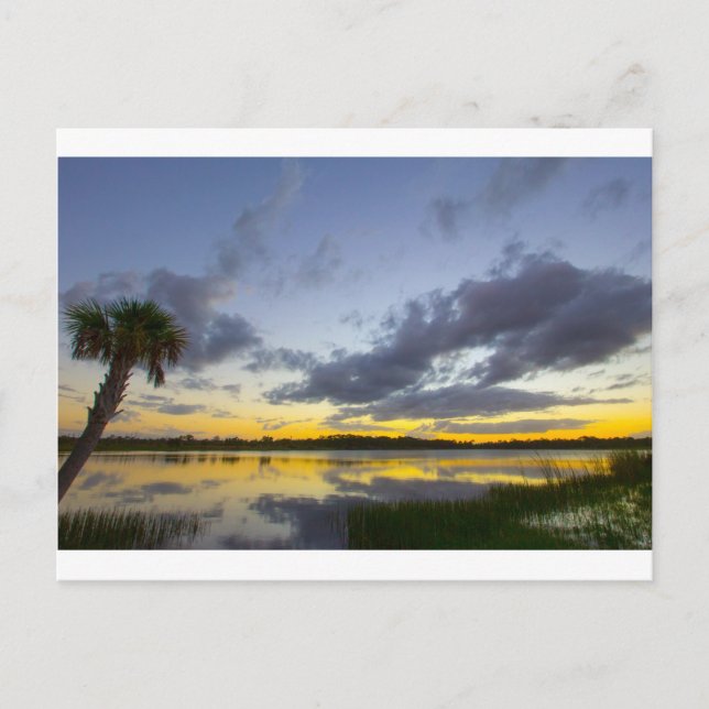 Sunset, George LeStrange Preserve, Fort Pierce, FL Vykort (Framsida)