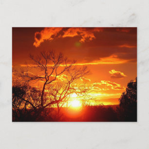 Sunset Glory vykort