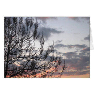 Sunset Grenar Hälsningskort