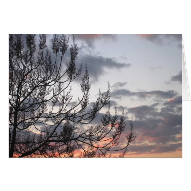 Sunset Grenar Hälsningskort (Framsidan Horizontal)