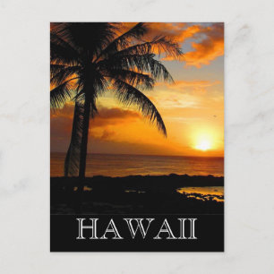 sunset handflatan hawaii vykort