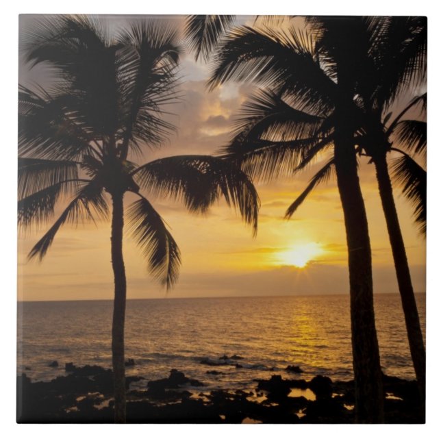 sunset Handflatan träd Kakelplatta (Framsidan)