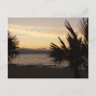 Sunset Handflatan Vykort