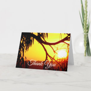 Sunset Horizon Tack Kort