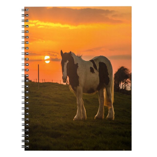 Sunset Horse Anteckningsbok (Framsidan)